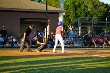 Enlarge photo 261