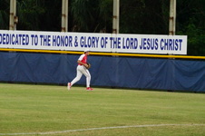 Enlarge photo 431