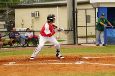 Enlarge photo 264