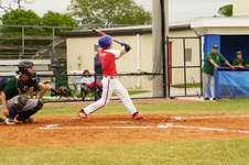Enlarge photo 315