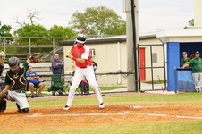 Enlarge photo 421