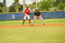 Enlarge photo 483