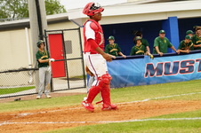 Enlarge photo 662