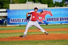 Enlarge photo 62