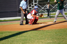 Enlarge photo 80