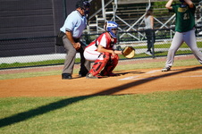 Enlarge photo 83