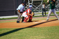 Enlarge photo 87