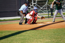 Enlarge photo 93