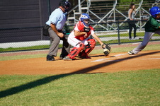 Enlarge photo 96
