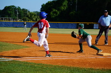 Enlarge photo 172