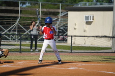 Enlarge photo 175