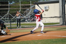 Enlarge photo 196