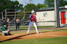 Enlarge photo 223