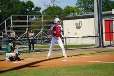 Enlarge photo 224