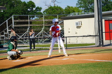 Enlarge photo 225
