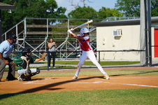Enlarge photo 231