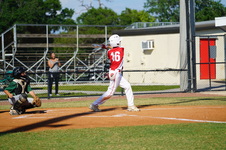 Enlarge photo 235
