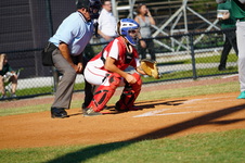 Enlarge photo 251