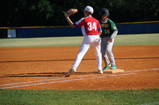 Enlarge photo 296