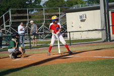 Enlarge photo 377