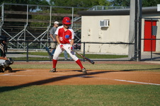 Enlarge photo 487
