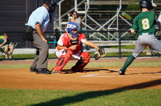 Enlarge photo 517