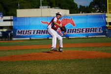 Enlarge photo 524