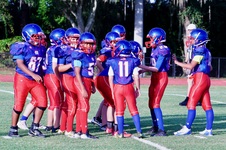 Enlarge photo 31