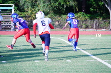 Enlarge photo 45