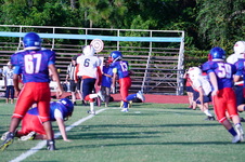 Enlarge photo 51