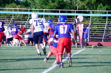 Enlarge photo 53