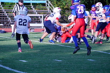 Enlarge photo 65