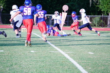 Enlarge photo 142
