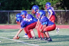 Enlarge photo 148