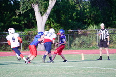 Enlarge photo 174
