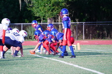 Enlarge photo 177