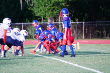 Enlarge photo 178