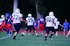 Enlarge photo 217