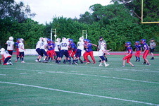 Enlarge photo 223