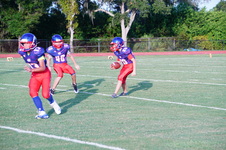 Enlarge photo 244