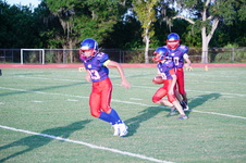 Enlarge photo 243