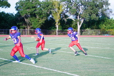 Enlarge photo 246
