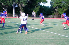 Enlarge photo 249