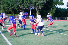 Enlarge photo 251