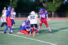 Enlarge photo 253