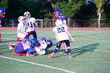 Enlarge photo 256