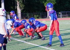Enlarge photo 255