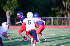 Enlarge photo 264