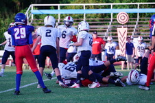Enlarge photo 274