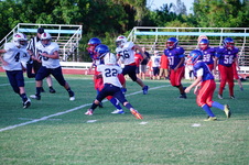 Enlarge photo 283